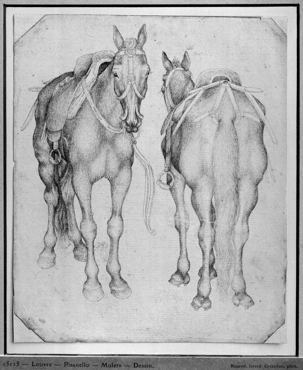 Két ló, a Vallardi albumból alkotó: Antonio Pisanello