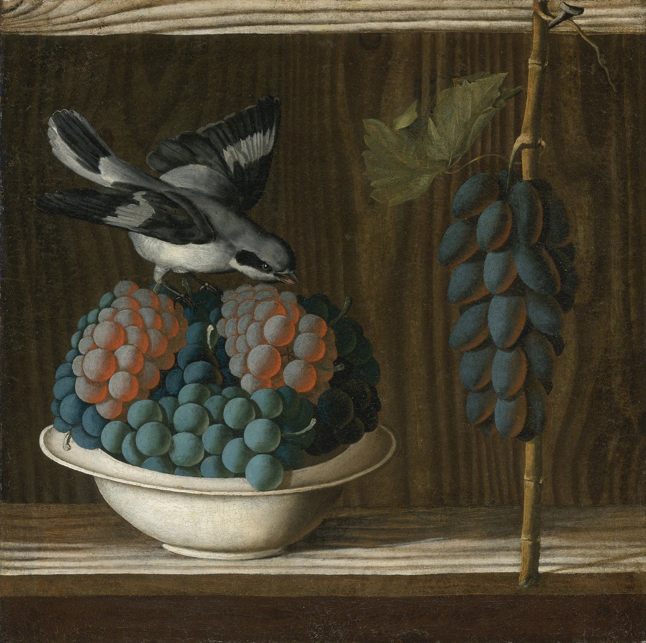 Leonelli (da Crevalcore), Antonio (kb. 1450-1525 előtt) Csendélet szőlővel és szürke sárkalács (A festészet allegóriája). Olaj, vászon, méret: 40x39,7, c. 1500, privát alkotó: Antonio (fl.1478 1513) Leonelli
