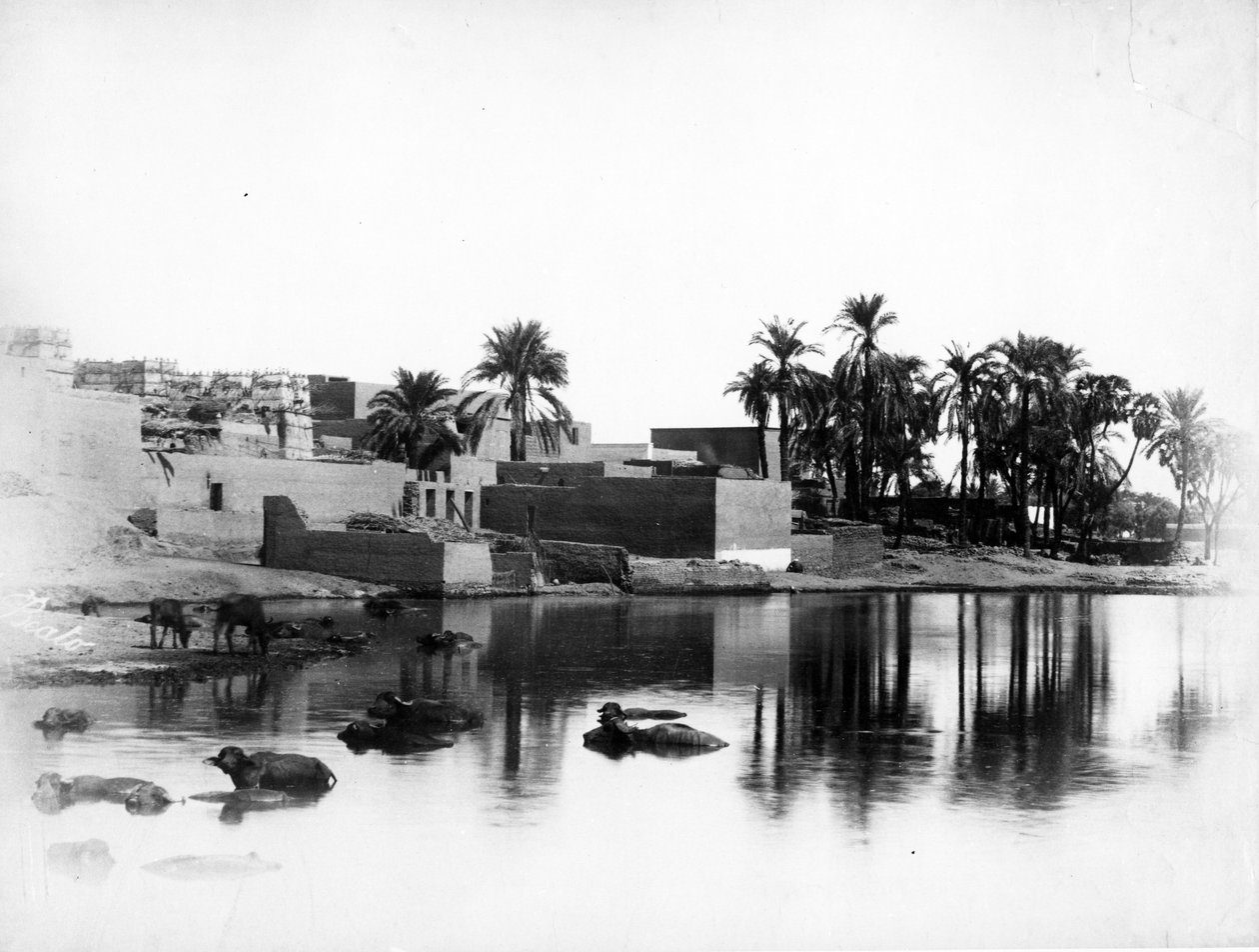 Luxor egy nílusi hajóról nézve, 1860-80 körül alkotó: Antonio Beato