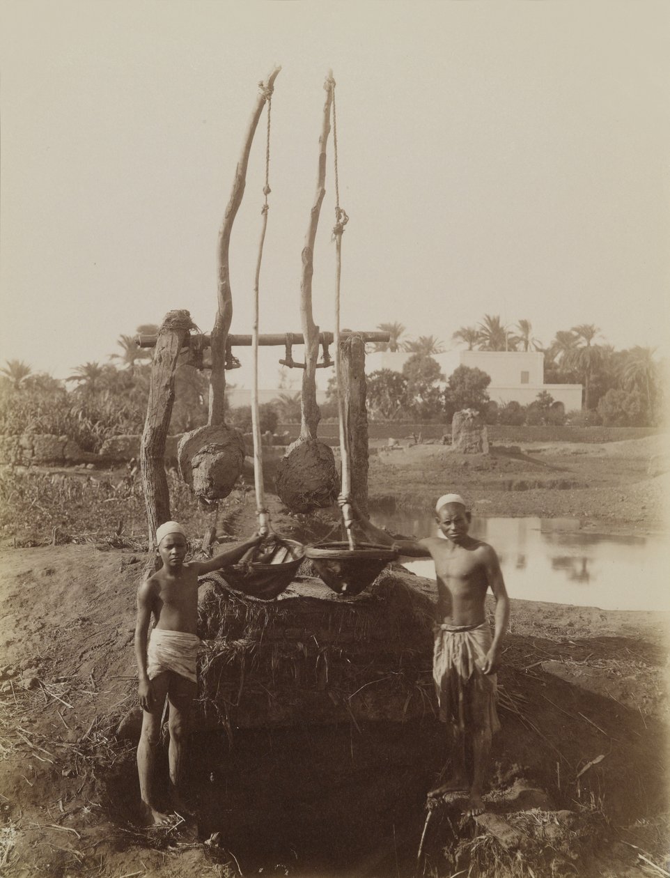 Sehadouf, Luxor alkotó: Antonio Beato