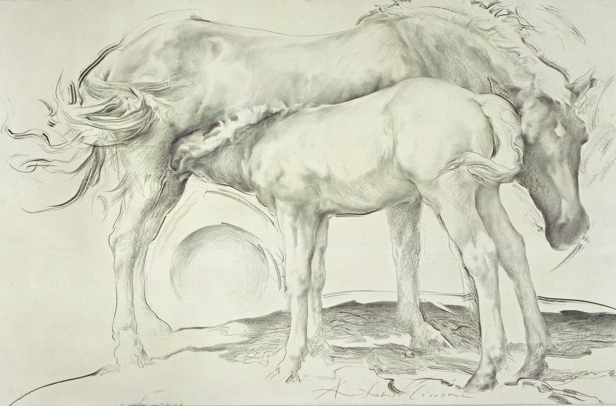 Horses at Coolmore, 1990 (szén papíron) alkotó: Antonio Ciccone
