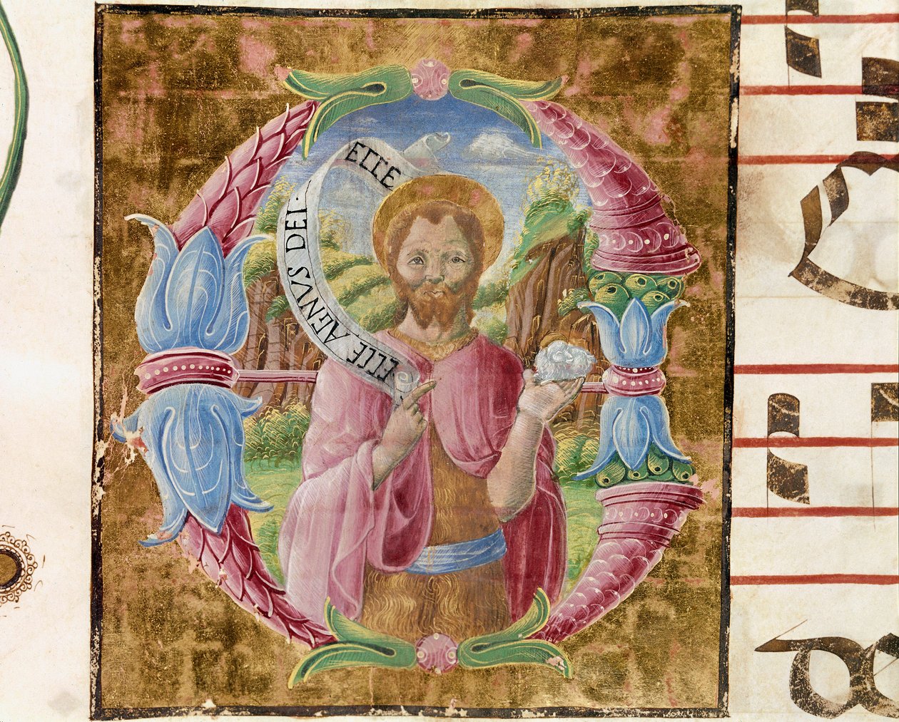 Keresztelő Szent János Lettrina Antonio Cicognari által megvilágítva. Egy antifónia részlete. 1483. Cremone, 4. kórus, a székesegyház káptalanja alkotó: Antonio Cicognara