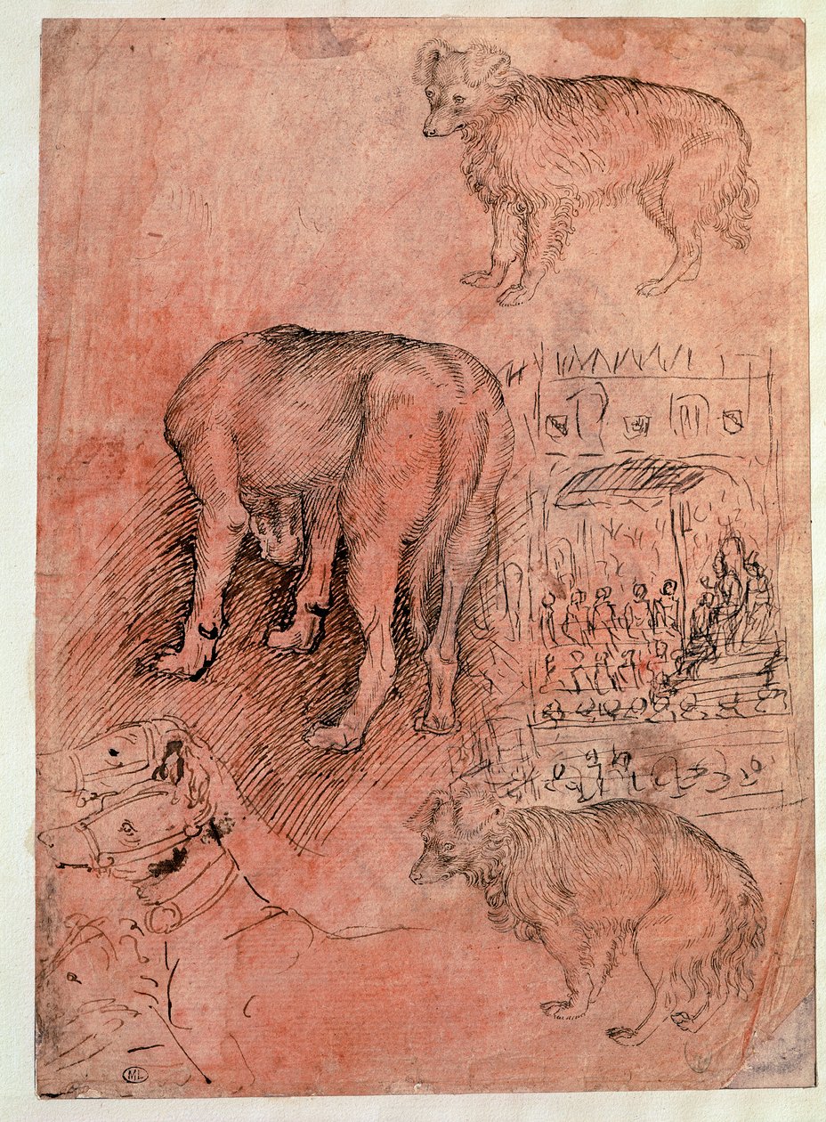 Kutya tanulmányok. Aulic epizód. Antonio Pisano dit il Pisanello rajza (1380-1455) alkotó: Antonio Pisanello