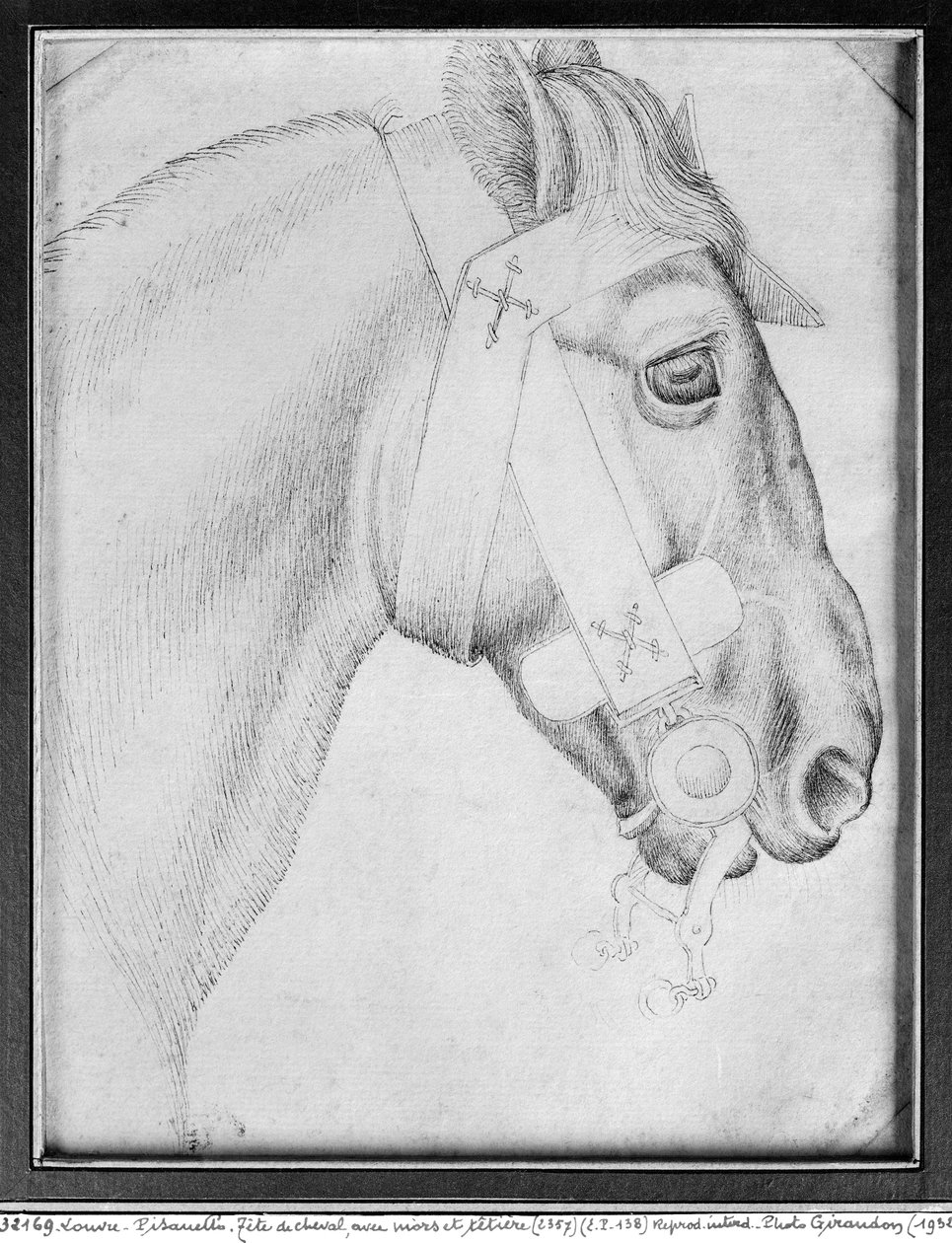 Egy ló feje, a Vallardi albumból (toll és tinta papíron) (bw fotó) alkotó: Antonio Pisanello