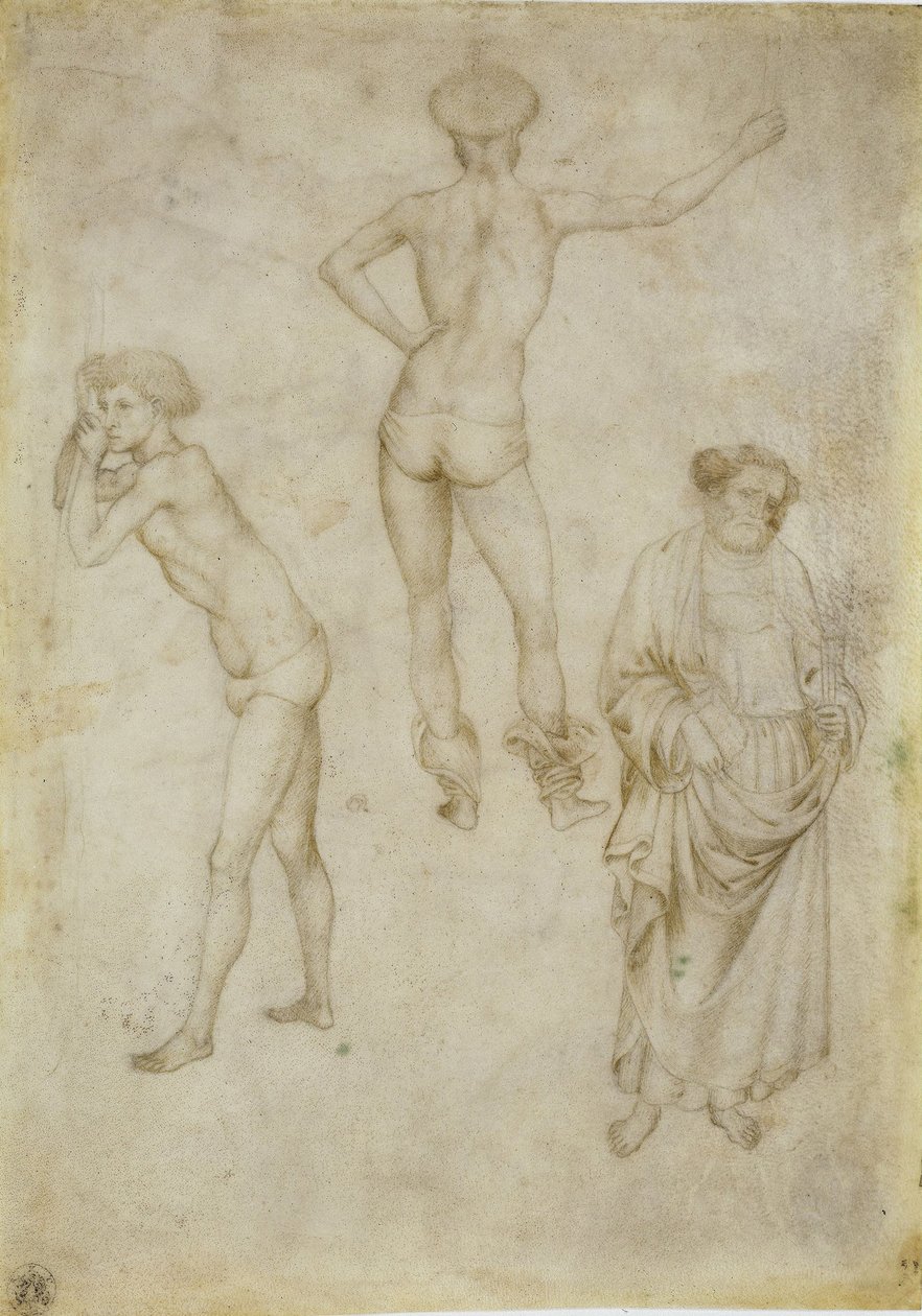 Két férfialak tanulmány és Szent Péter, 1430-1435 alkotó: Antonio Pisanello