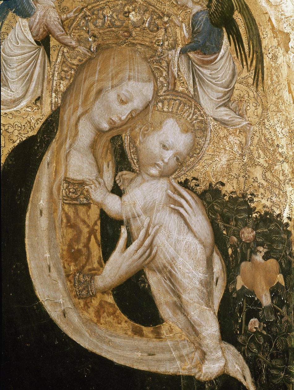 Szűz fürjjel (Detrempe, fán, 1420 körül) alkotó: Antonio Pisanello