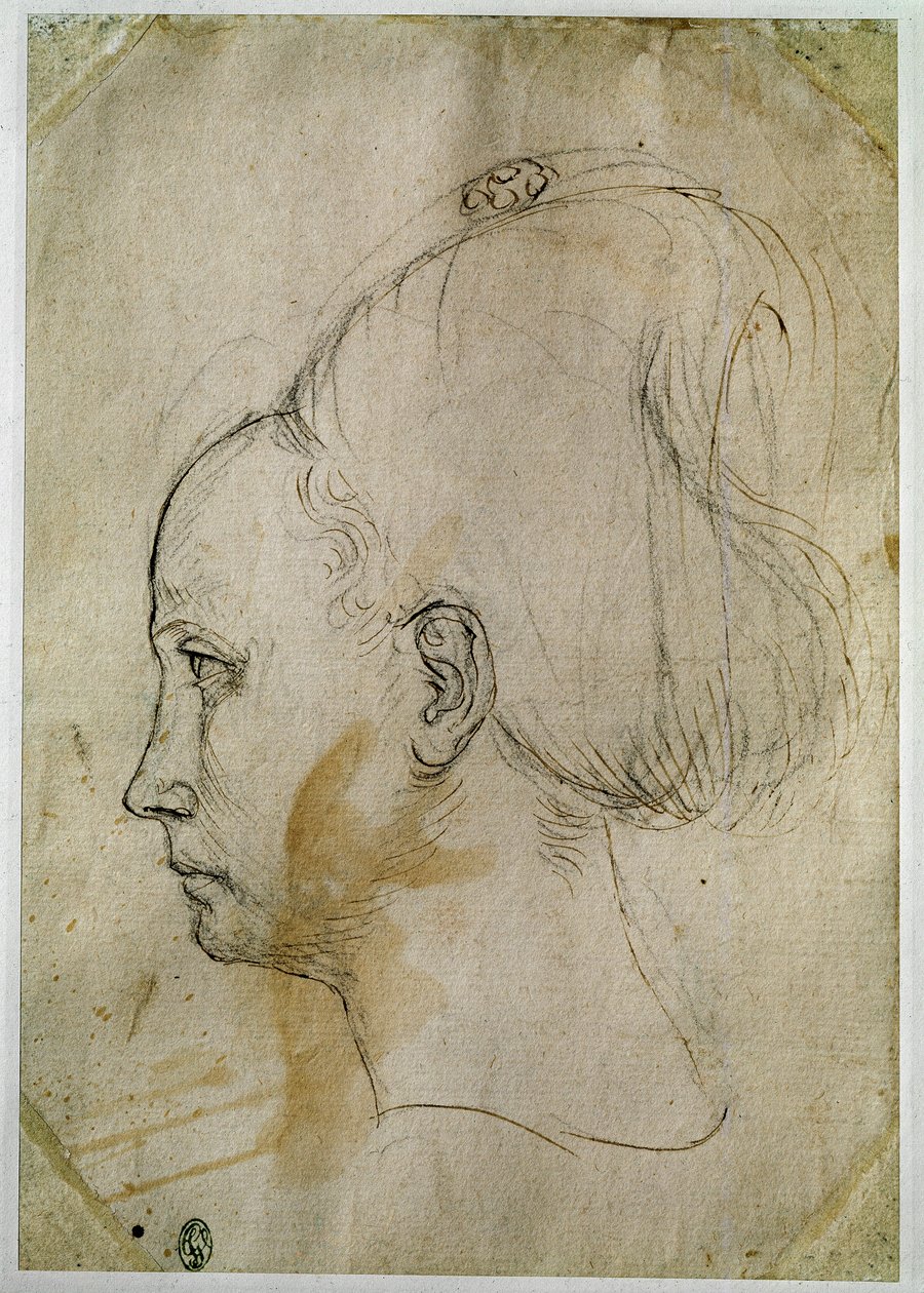 Fiatal nő feje, profilja balra alkotó: Antonio Pisanello