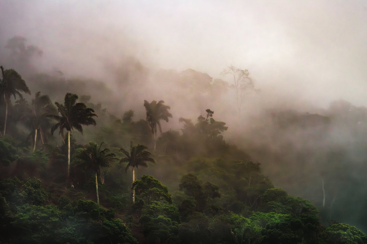 Corcovado XIX, 2020 (digitális fénykép) alkotó: Antonio Schubert