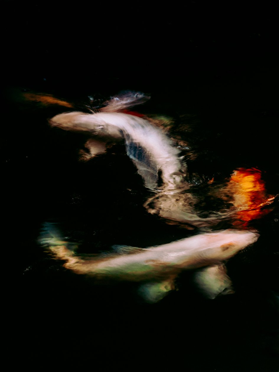  alkotó: Antonio Schubert