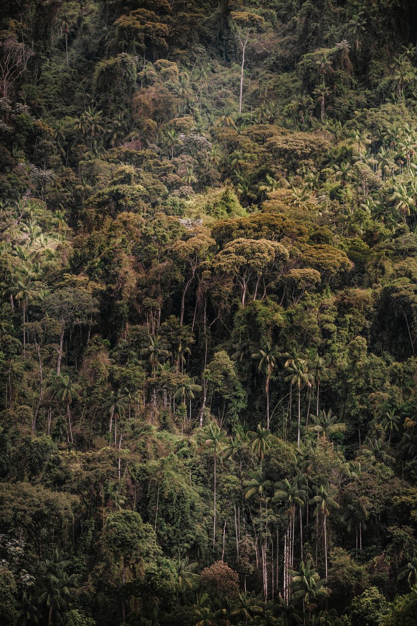 Mantiqueira XXXV, 2015 (digitális fénykép) alkotó: Antonio Schubert