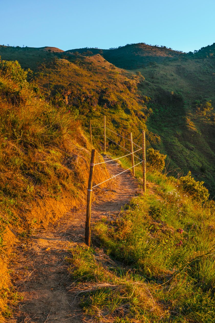 Trail, 2023 (digitális fénykép) alkotó: Antonio Schubert