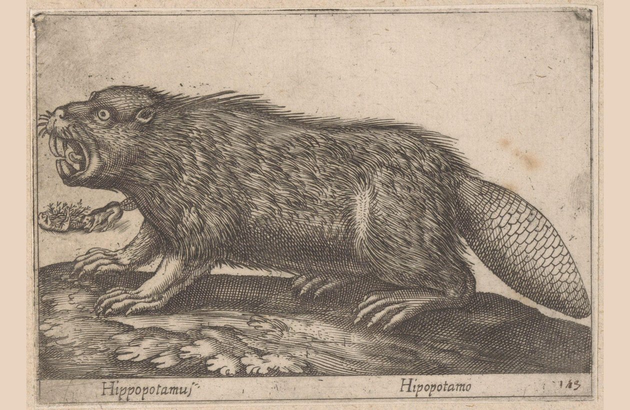Ital Víziló (cím a tárgyon) Dieren en fablewezens (sorozat címe) Nova raccolta de li animali piu curiosi del mondo (sorozat címe) alkotó: Antonio Tempesta