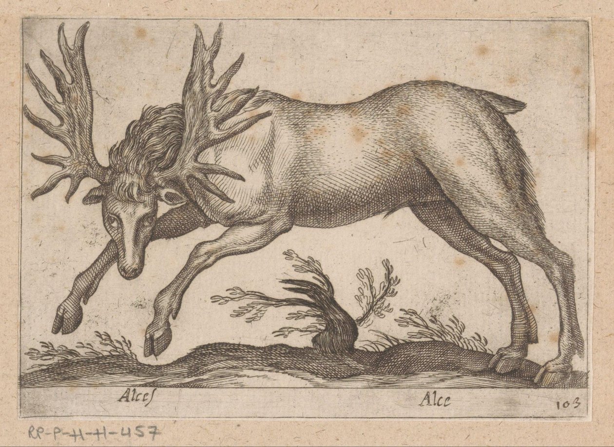 Tehénantilop Moose/ Moose (cím a tárgyon) Dieren en fablewezens (sorozat címe) Új kollekció a világ legkíváncsibb állataiból (sorozat címe) alkotó: Antonio Tempesta