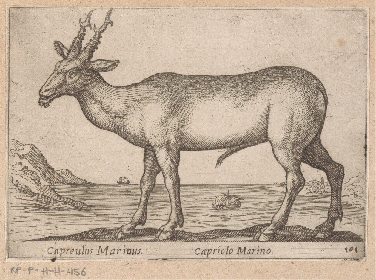 Hert Capreulus Marinus/Capriolo Marino (cím a tárgyon) Dieren en fablewezens (sorozat címe) Új kollekció a világ legkíváncsibb állataiból (sorozat címe) alkotó: Antonio Tempesta