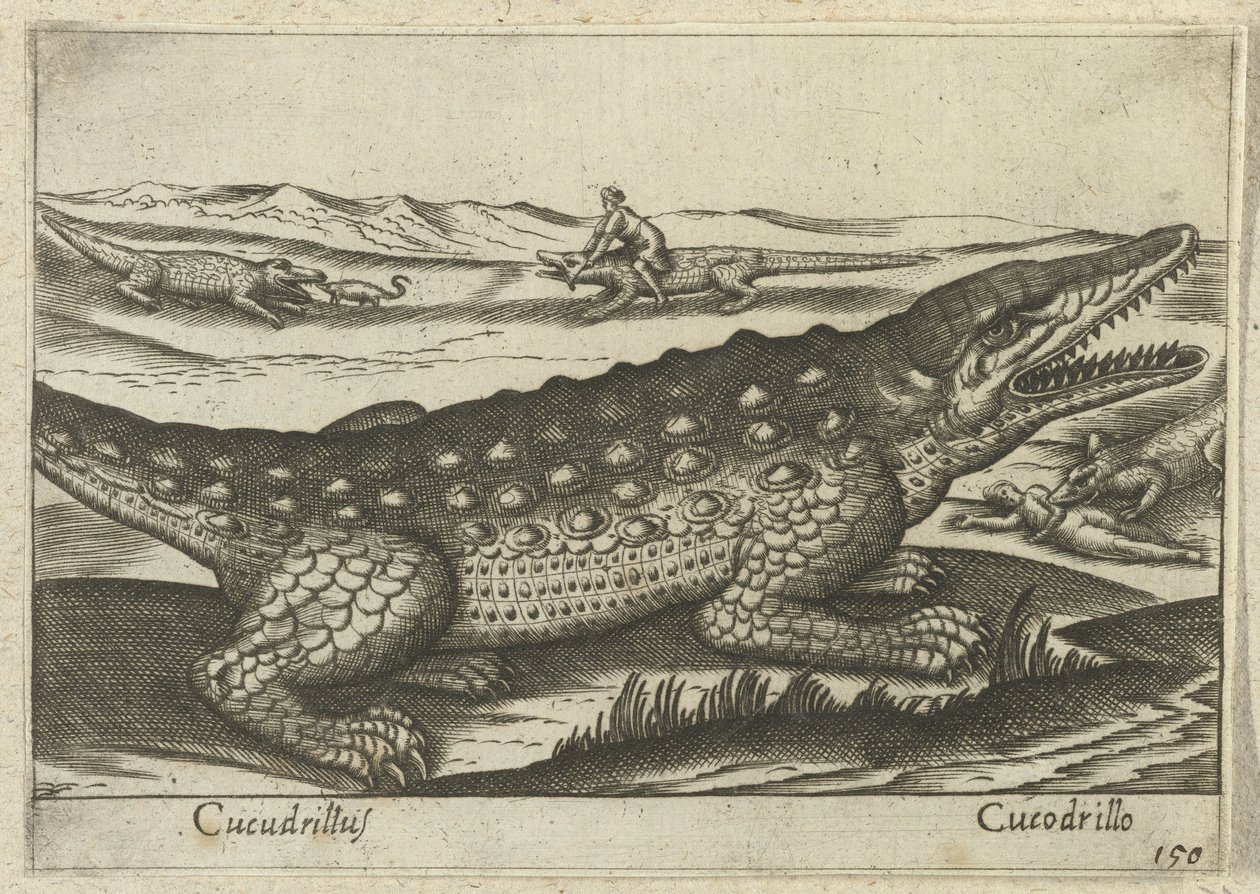 Krokodil Cucodrillus/ Cucodrillo (cím a tárgyon) Dieren en fablewezens (sorozat címe) A világ legkíváncsibb állatainak új gyűjteménye (sorozat címe) alkotó: Antonio Tempesta