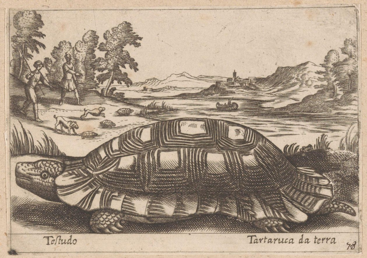 Landschildpad Testudo/ Földi teknős (cím a tárgyon) Dieren en fabelwezens (sorozat címe) Új gyűjtemény a világ legkíváncsibb állataiból (sorozat címe) alkotó: Antonio Tempesta