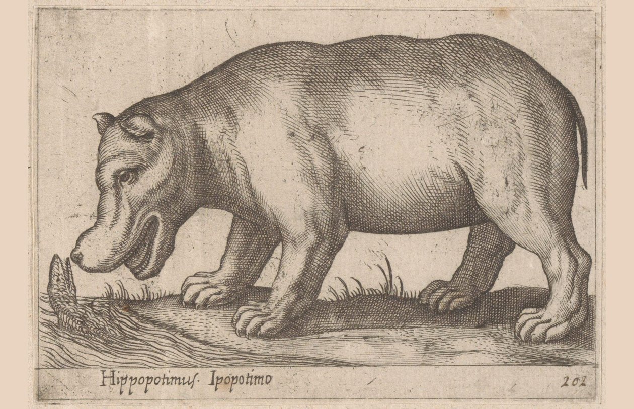 Víziló Víziló/Ippopotamo (cím a tárgyon) Állatok és mitikus lények (sorozat címe) Nova raccolta de li animali piu curiosi del mondo (sorozat címe) alkotó: Antonio Tempesta