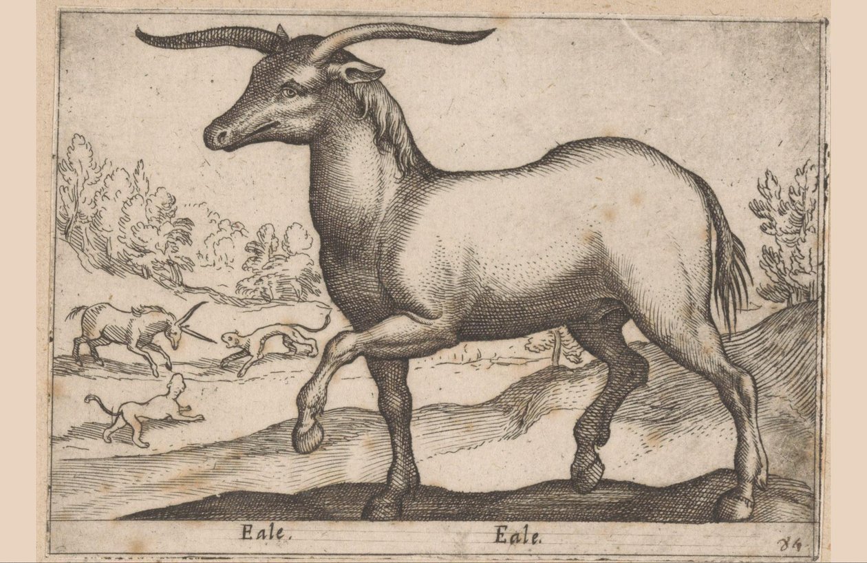 Ló szarvakkal Eale/Eale (cím a tárgyon) Állatok és mitikus lények (sorozat címe) Nova raccolta de li animali piu curiosi del mondo (sorozat címe) alkotó: Antonio Tempesta