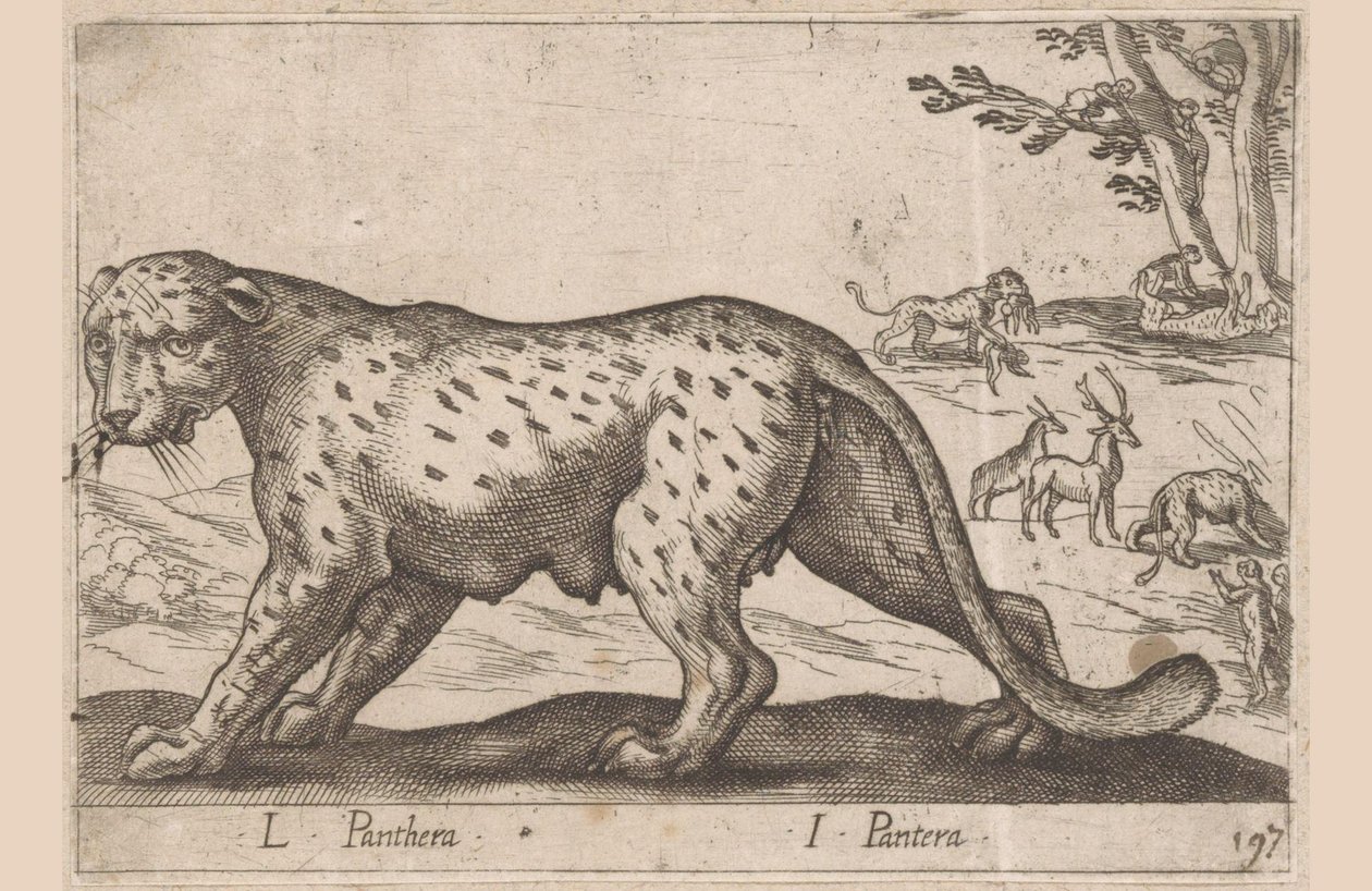 Párduc L Panthera/ I Panthera (cím a tárgyon) Dieren en fablewezens (sorozat címe) Új kollekció a világ legkíváncsibb állataiból (sorozat címe) alkotó: Antonio Tempesta