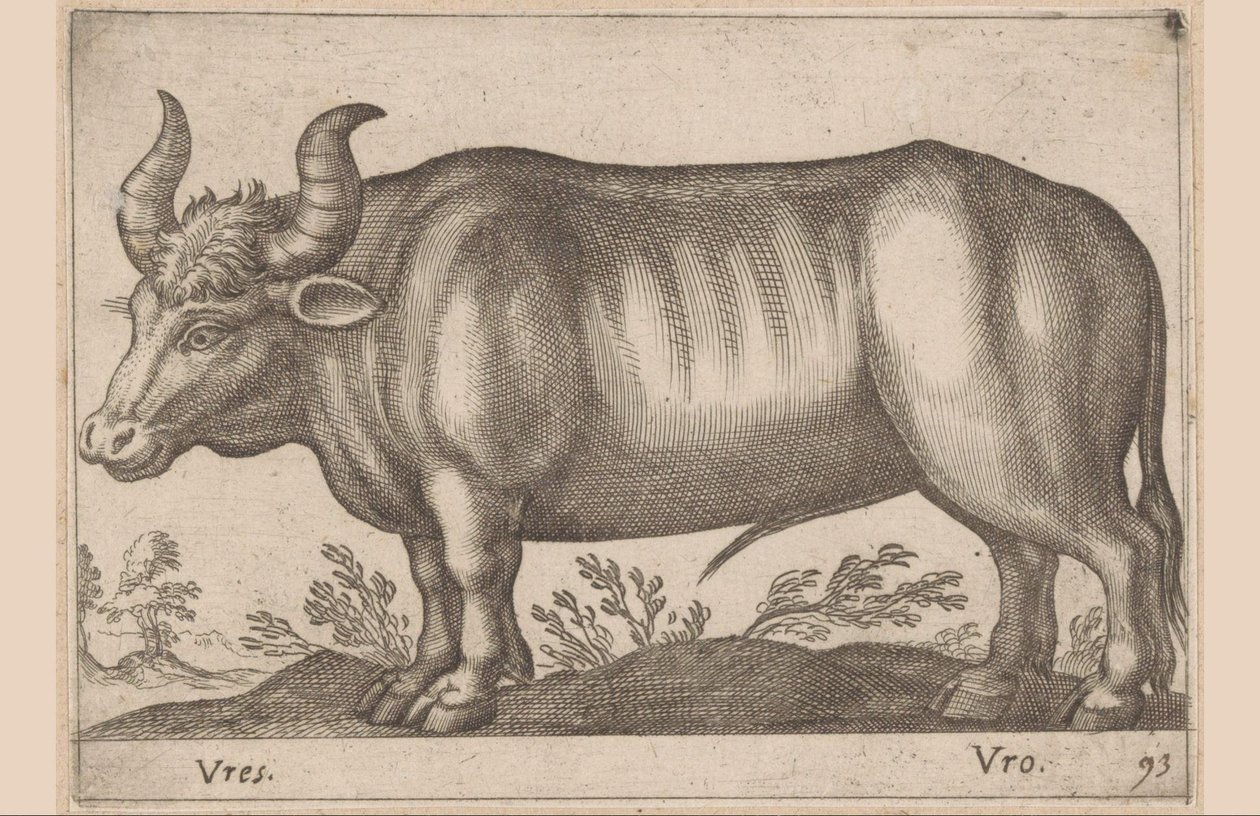 Kerek Vres/ Vro (cím az objektumon) Állatok és mitikus lények (sorozat címe) Nova raccolta de li animali piu curiosi del mondo (sorozat címe) alkotó: Antonio Tempesta