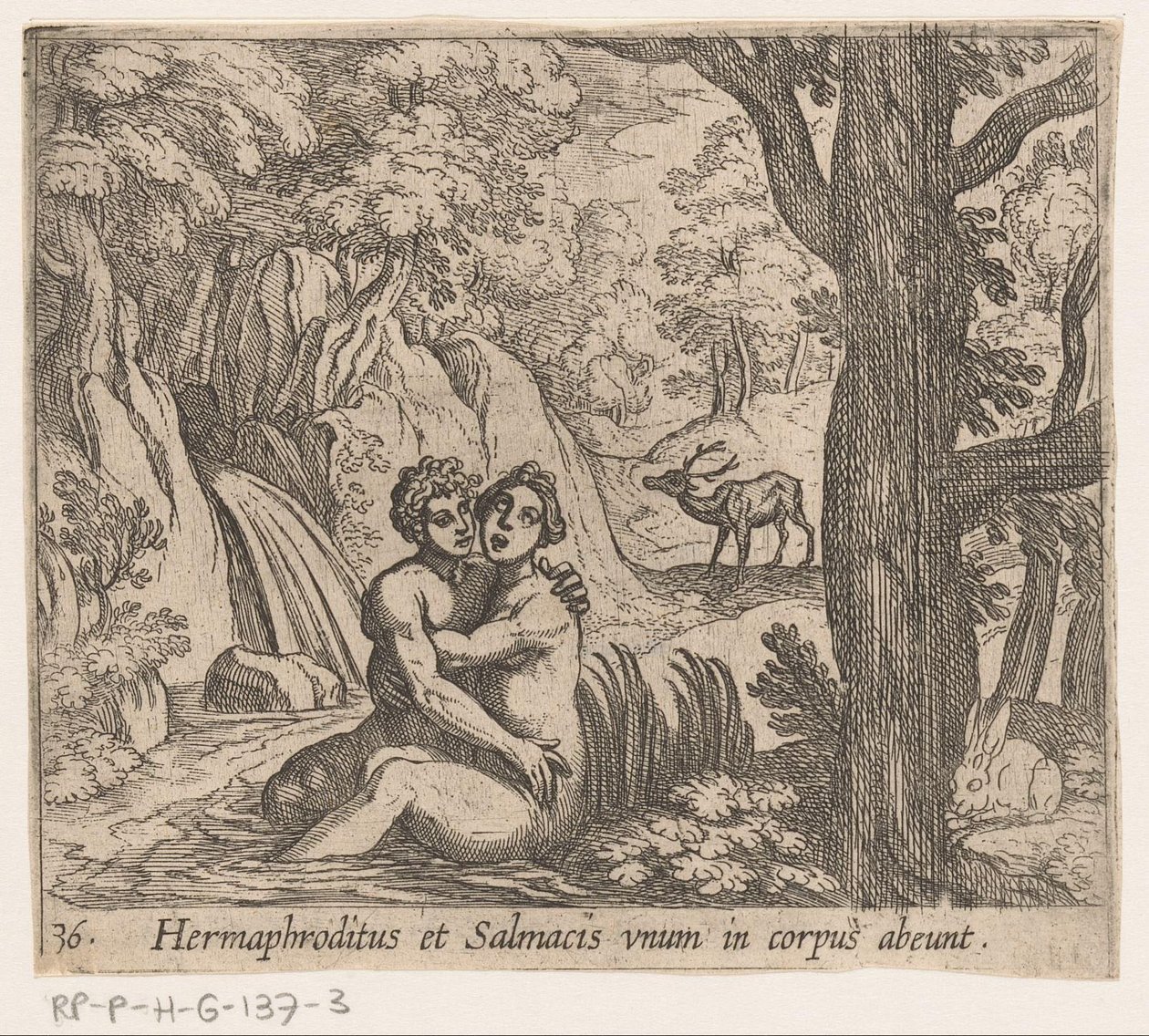 Salmacis és Hermaphroditus Hermaphroditus és Salmacius egy testként távoznak (cím a tárgyon) Metamorfózis vagy átalakulások (sorozat címe) Metamorfosen van Ovidius (sorozat címe) alkotó: Antonio Tempesta