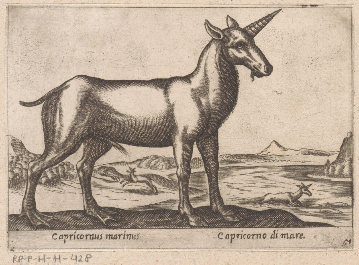 Bak, mint tengeri állat Capricornus marinus/ Capricorno di mare (cím a tárgyon) Állatok és mitikus lények (sorozat címe) Nova raccolta de li animali piu curiosi del mondo (sorozat címe) alkotó: Antonio Tempesta