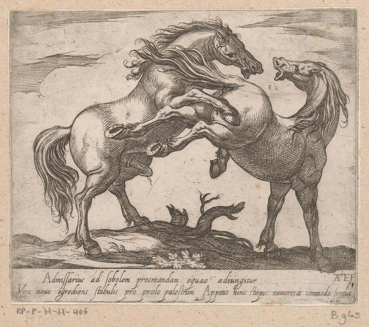 Twee parende paarden Paarden uit verschiedelde landen (sorozat címe) Ezekkel a vezetőkkel viroru szájú vezetőként fognak ünnepelni. alkotó: Antonio Tempesta