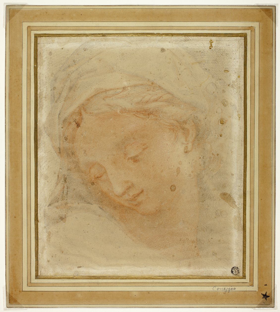 Női fej alkotó: Antonio da Correggio