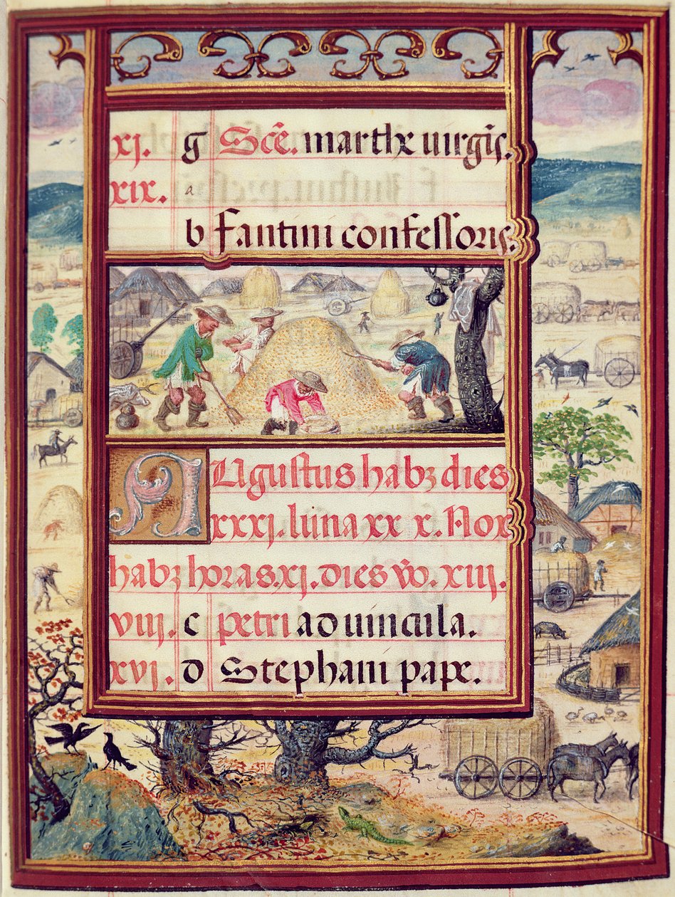 Augusztus, miniatúrák a „Dom Manuel óráinak könyvéből”, 1517-38 (tempera pergamen) alkotó: Antonio de Hollanda