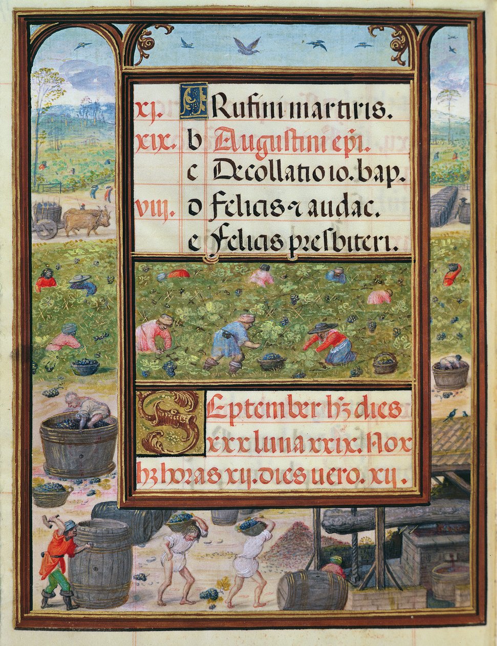 Szeptember, miniatúrák a „Dom Manuel óráinak könyvéből”, 1517-38 (tempera pergamen) alkotó: Antonio de Hollanda