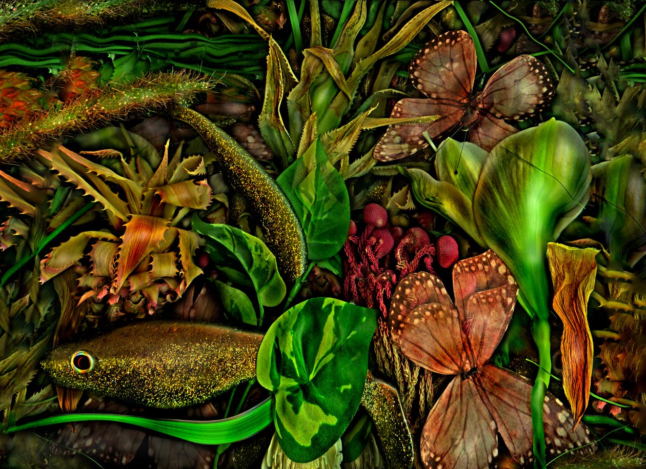  alkotó: Antonius Antonius