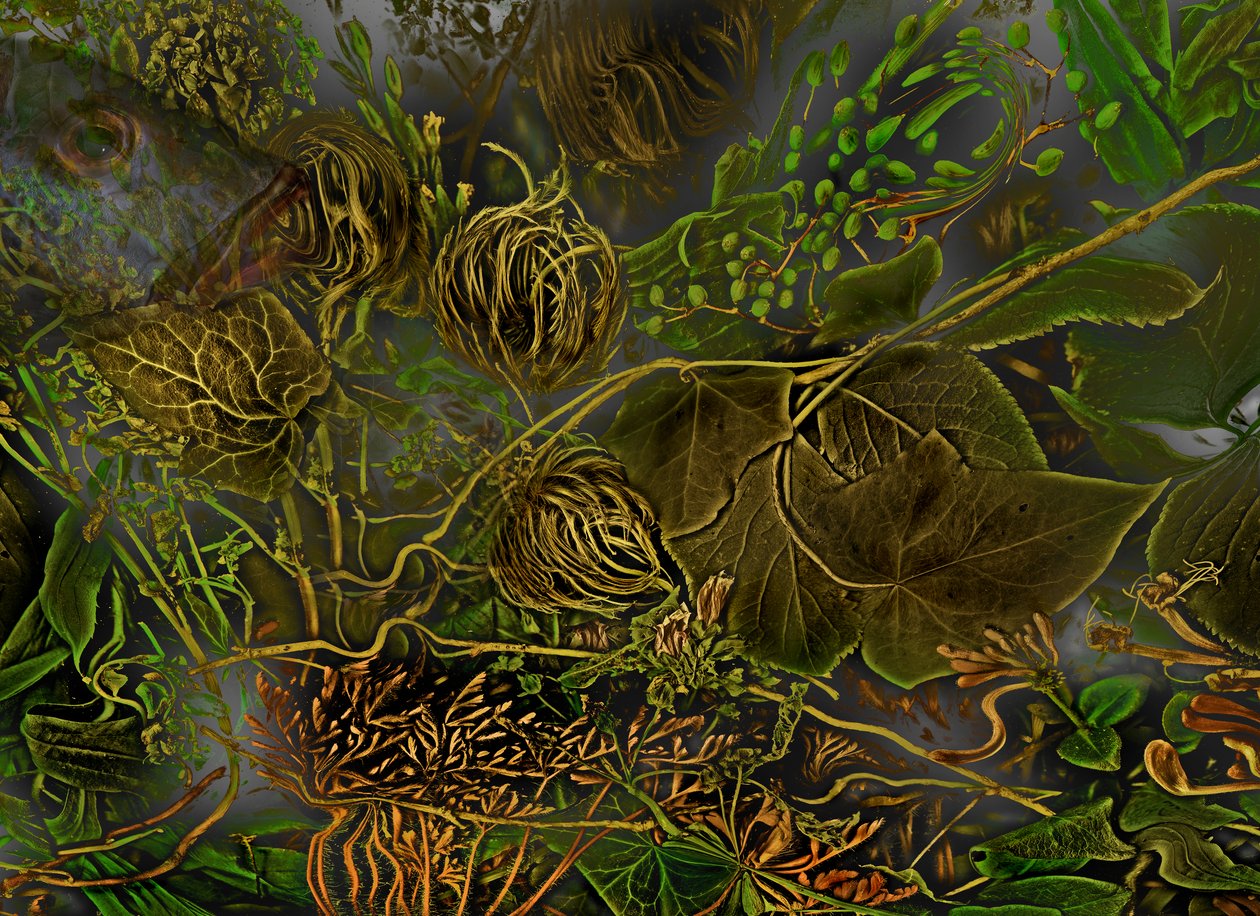  alkotó: Antonius Antonius