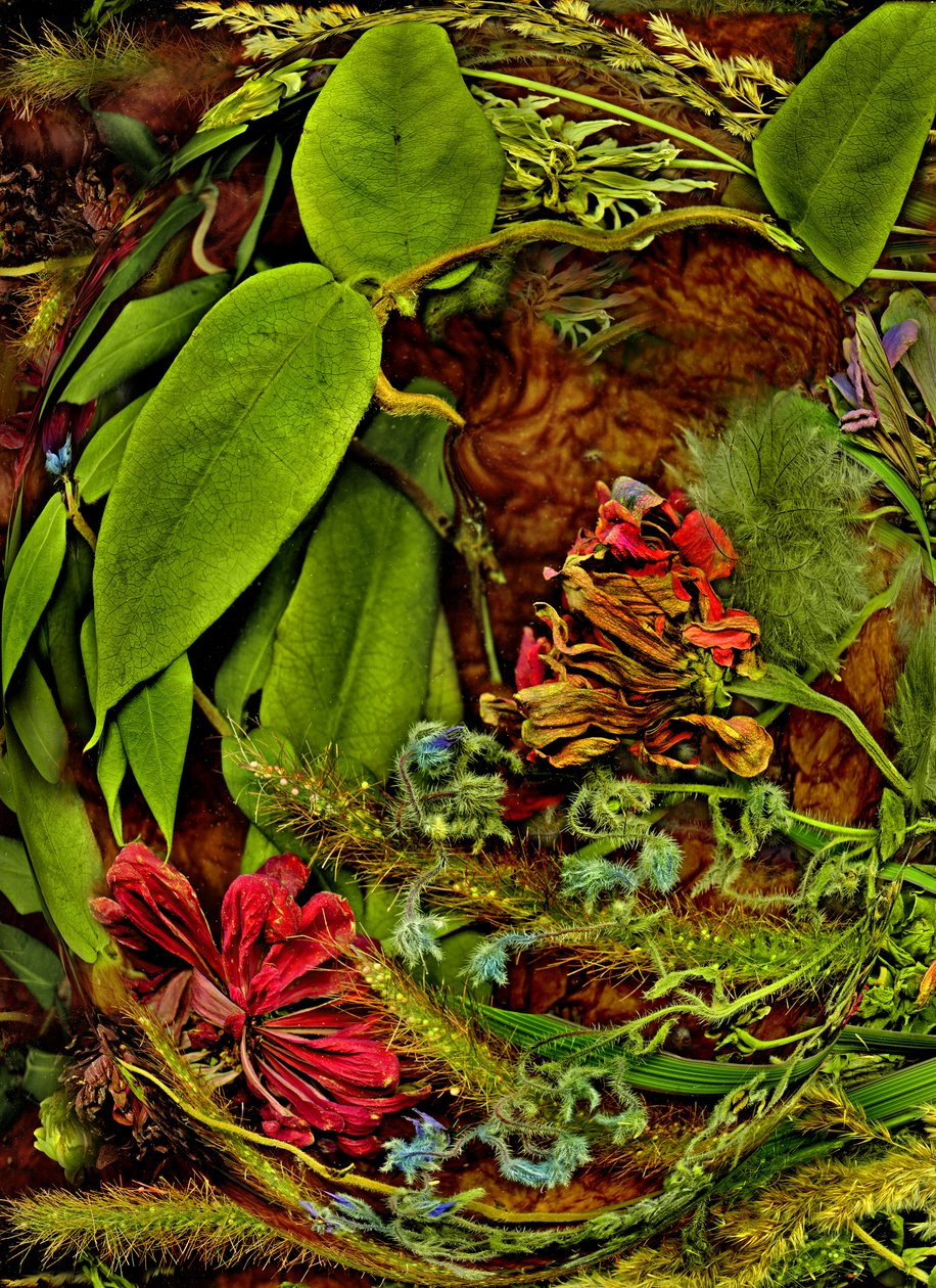  alkotó: Antonius Antonius