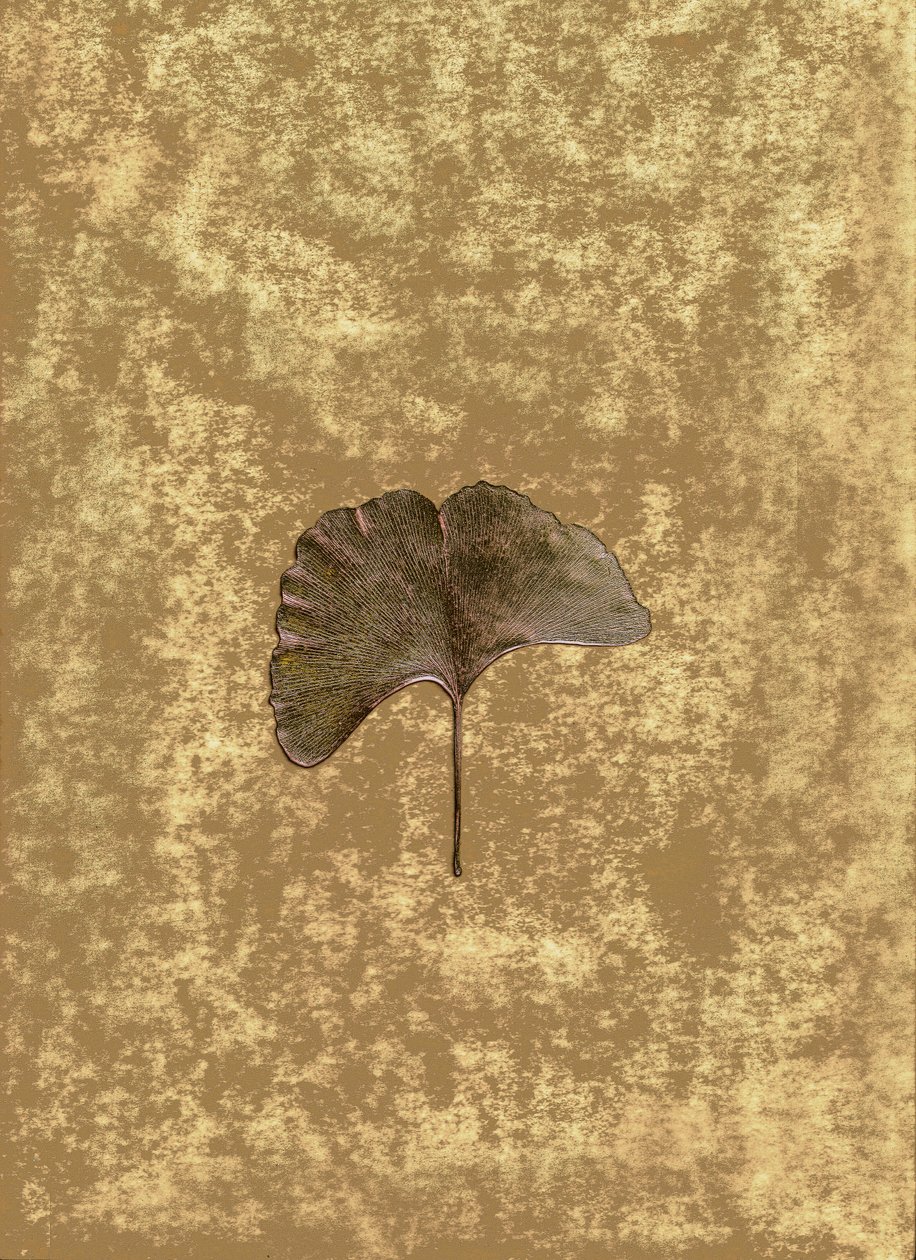  alkotó: Antonius Antonius