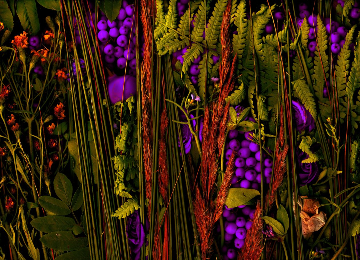  alkotó: Antonius Antonius