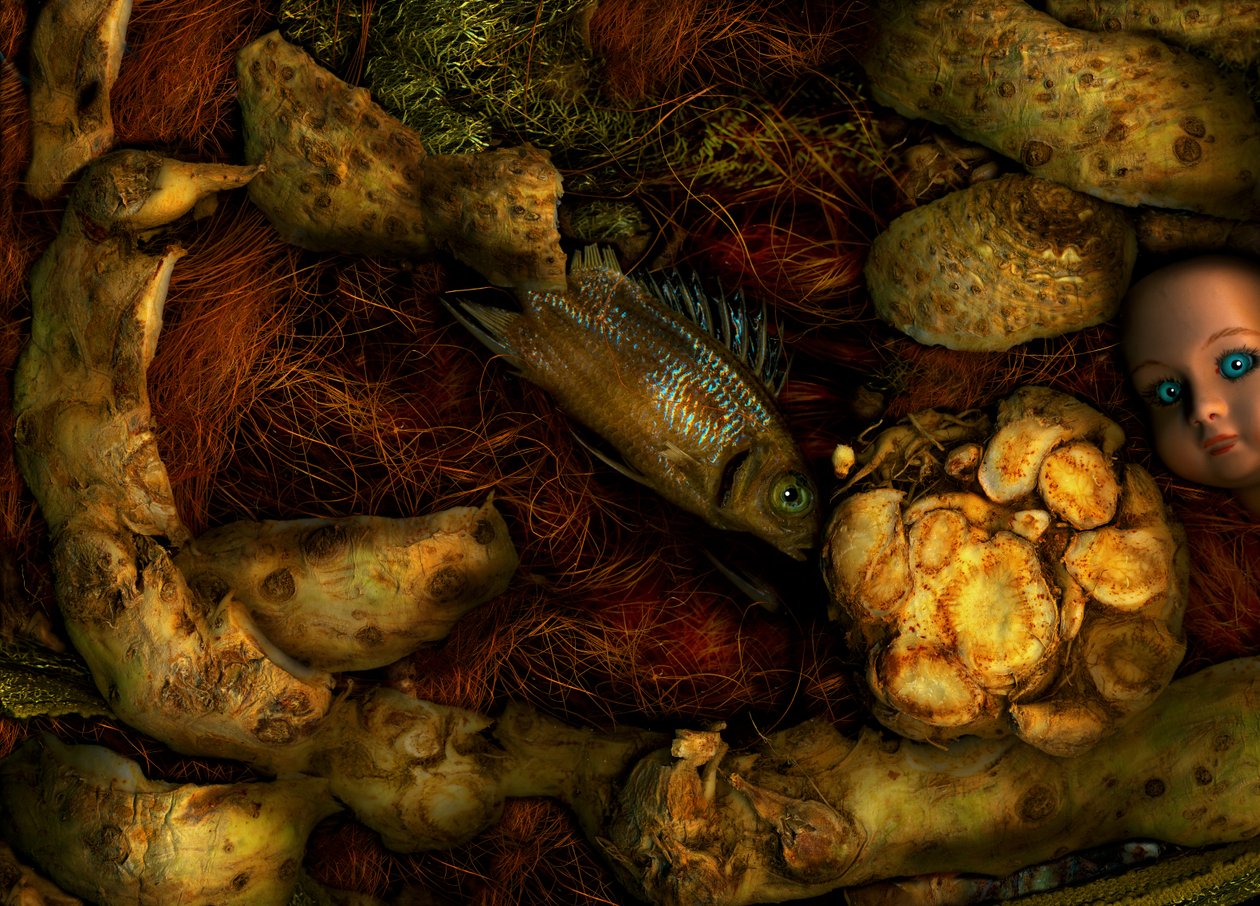  alkotó: Antonius Antonius