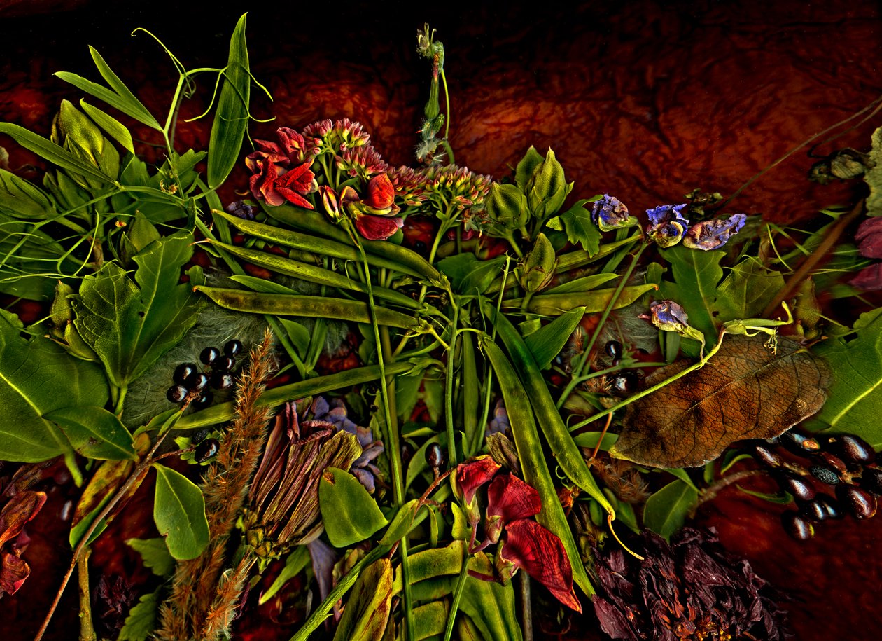  alkotó: Antonius Antonius