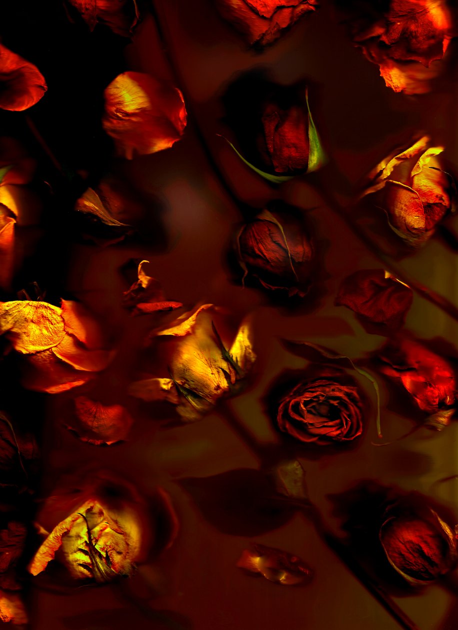  alkotó: Antonius Antonius