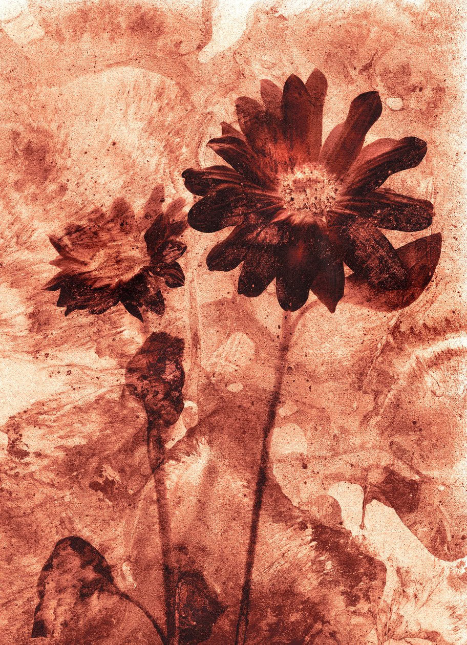  alkotó: Antonius Antonius