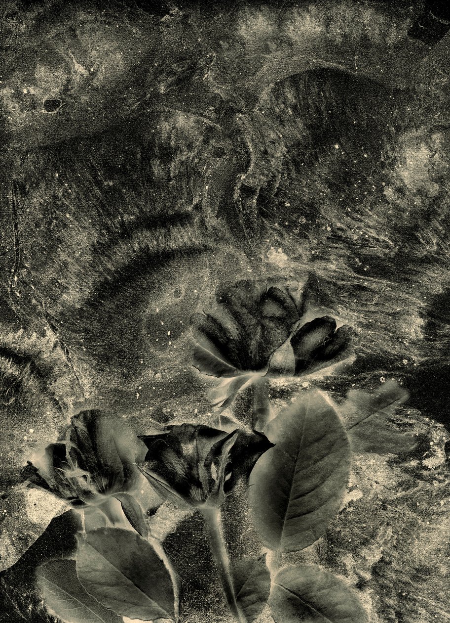  alkotó: Antonius Antonius