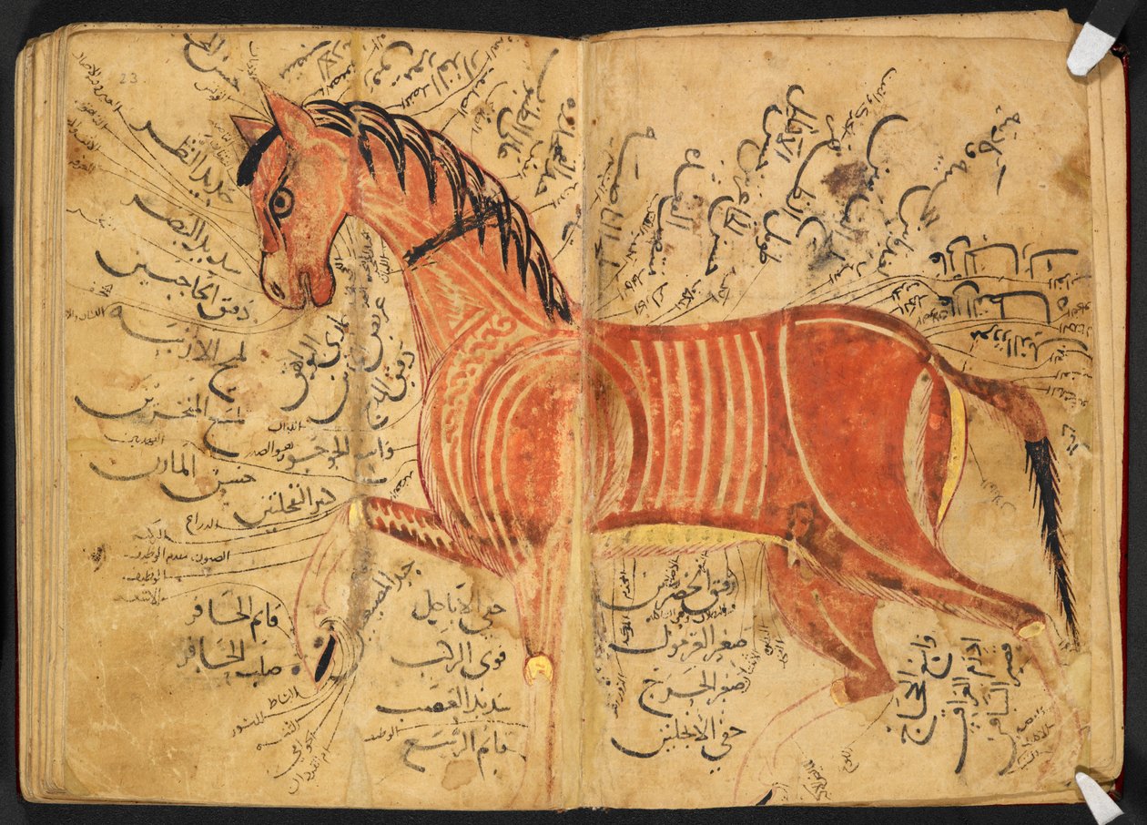 Ló, Azdī, Aḥmad ibn ʿAtīq "Kitāb al-bayṭarah" című művéből alkotó: Arabic School
