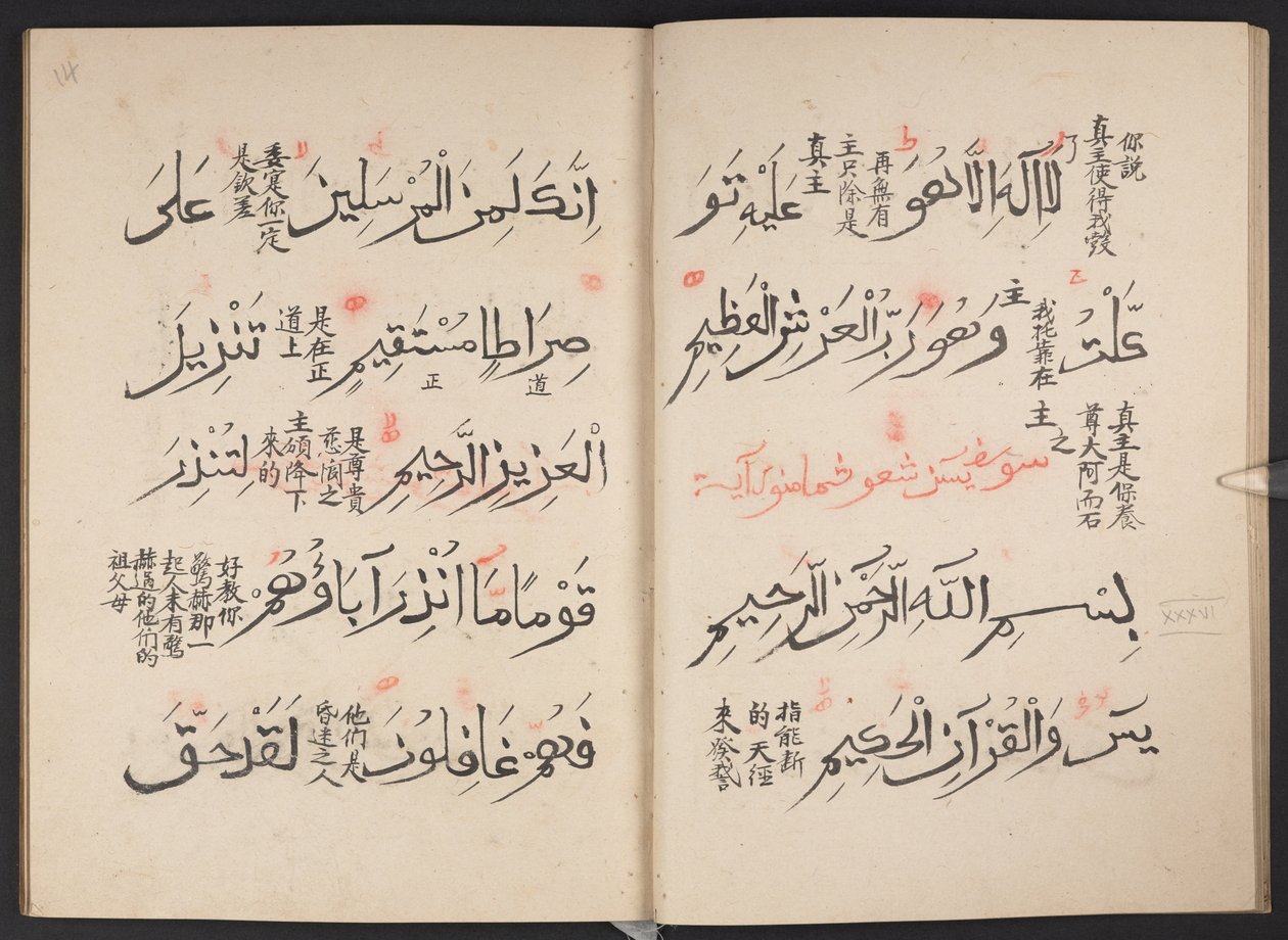 Korán, BL IO Islamic 3440, f.13v-14r alkotó: Arabic School