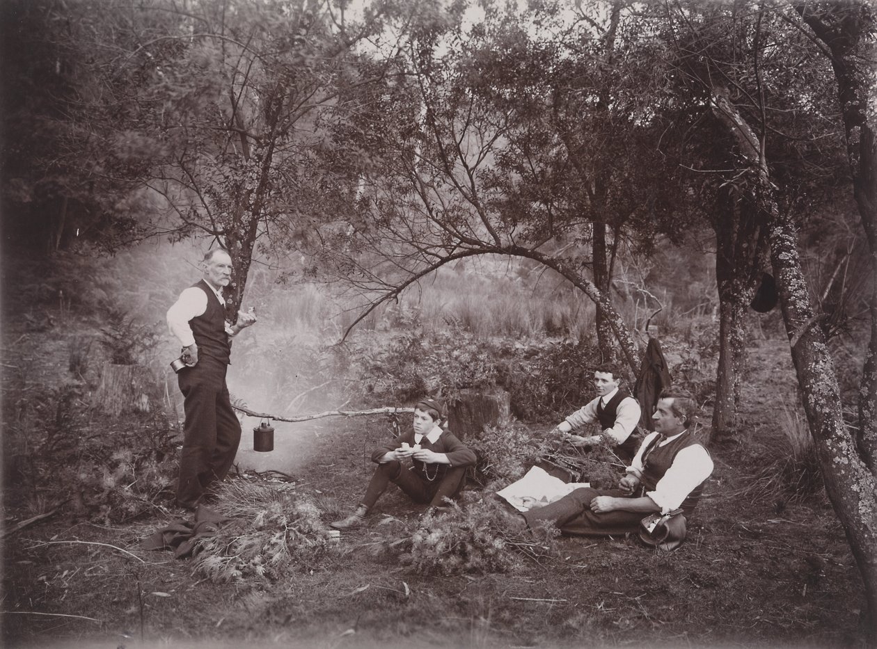 Wattle gyűjtése alkotó: Archibald James Campbell