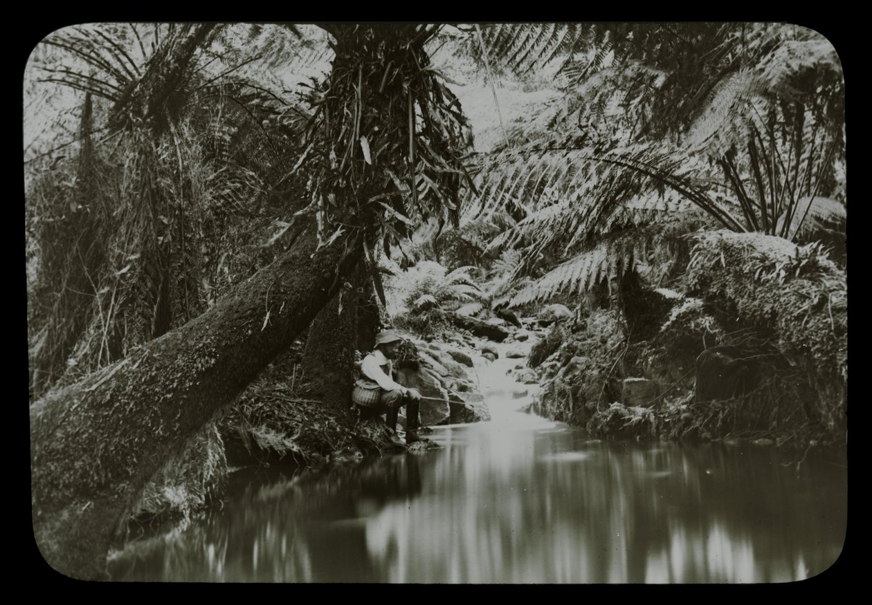 Horgásztó, Sassafras Gully alkotó: Archibald James Campbell