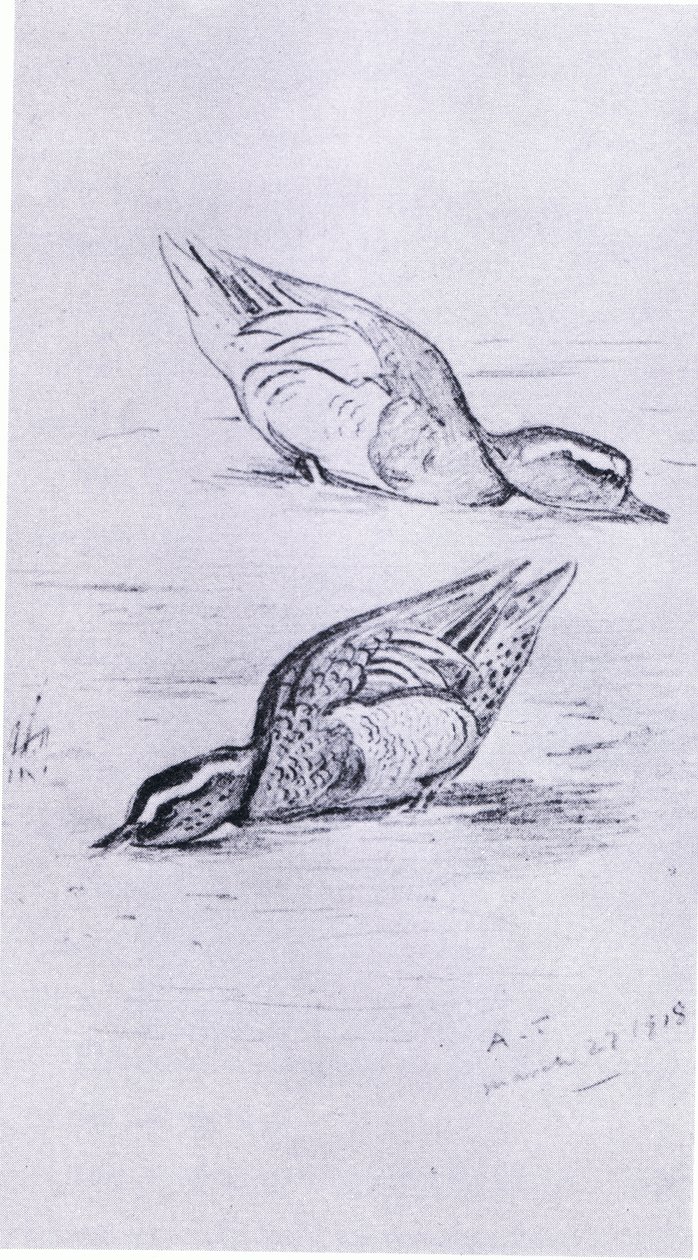 Garganey etetés, kocsma. írta: Book Club Associates, 1972 alkotó: Archibald Thorburn