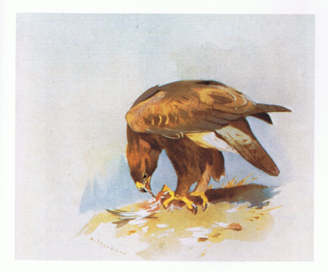 Golden Eagle tanulmányok, kocsma. írta: Book Club Associates, 1972 alkotó: Archibald Thorburn