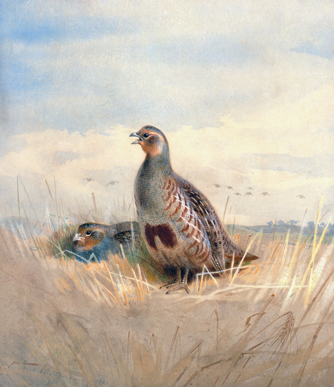 Két angol fogoly, 1903 (wc és gouache, papír) alkotó: Archibald Thorburn