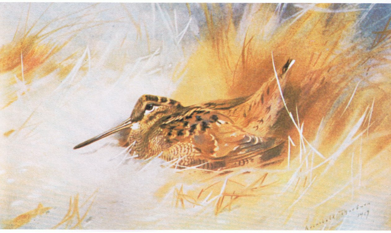 Woodcock, kocsma. írta: Book Club Associates, 1972 alkotó: Archibald Thorburn