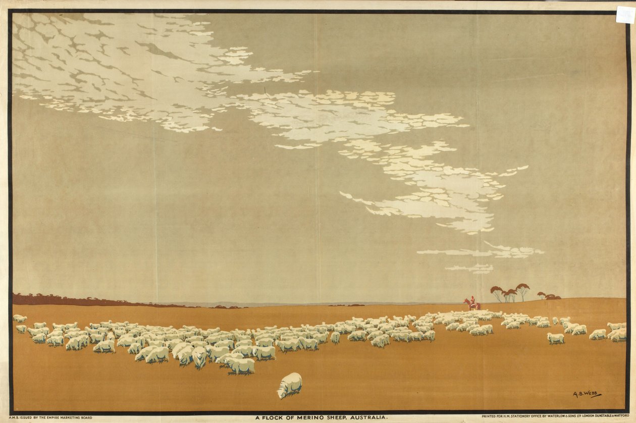 Merinói juhnyáj – Ausztrália, „Ausztrália búza és gyapjú gazdagsága” sorozatból (színes litho) alkotó: Archibald Bertram Webb