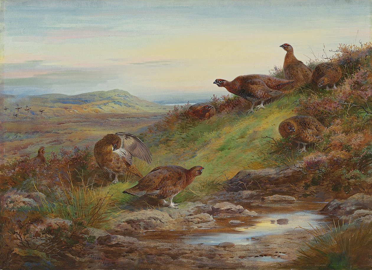 Vörösfajd-öböl egy forrás mellett alkotó: Archibald Thorburn